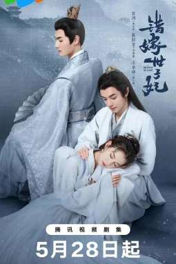 错嫁世子妃